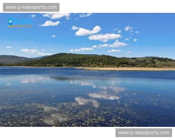 开云镜像站:开启更快速、更稳定的云端体验